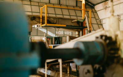 One Day, 34 Million Packages – Will UPS Pass the Test?