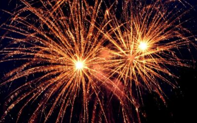 2016 Year in Review